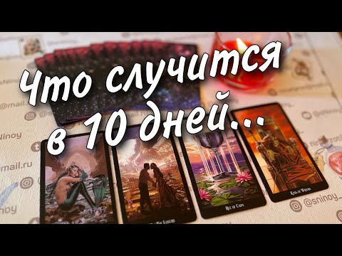 Видео: ❗️💯 Неожиданные Моменты в 10 ближайших дней... 🍁♣️🧡 таро прогноз знаки судьбы