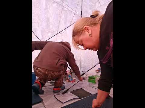 Видео: Джаорэ 8 марта 2024г.  часть 2.