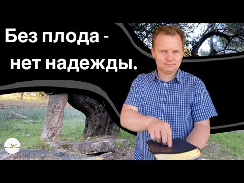 Видео: Без плода - нет надежды. Вадим Криничный.