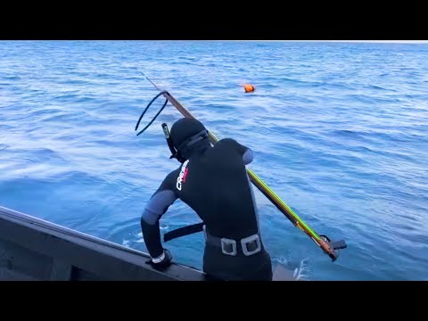 Видео: [№ 20] Ловля суперредкой рыбы во время фридайвинга