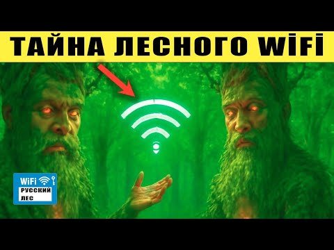 Видео: Всё что вы знаете о деревьях ложь! 3 факта которые заставят по другому взглянуть на деревья