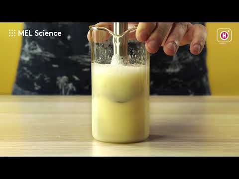 Видео: Как выделить ДНК в домашних условиях