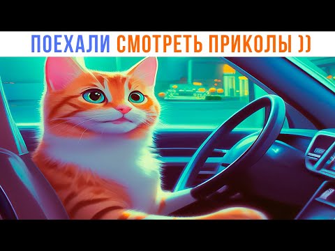 Видео: ГО ))) | Приколы с котами | Мемозг 1434