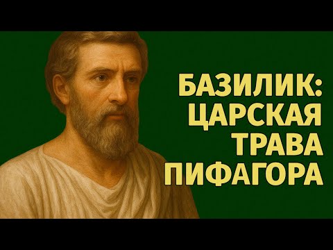 Видео: Базилик — растение силы и ясности. Его не клали в пищу просто так!