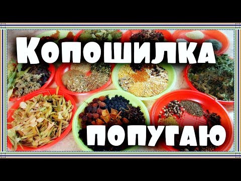 Видео: КОПОШИЛКА ДЛЯ ПОПУГАЯ. Делаем РАЗНООБРАЗНУЮ КОПОШИЛКУ для попугая.