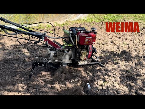Видео: WEIMA, ФРЕЗЕРОВКА ГРЯДКИ ПОД ПОСЕВ СИДЕРАТА - ГОРЧИЦЫ 12.09.2025