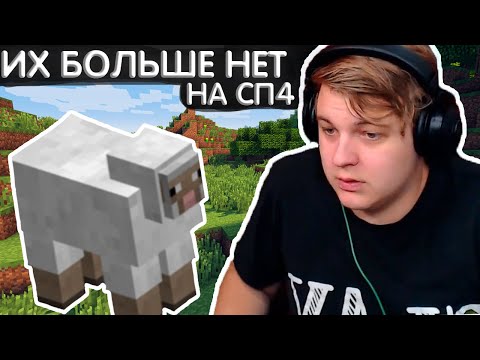 Видео: КУДА ДЕЛИСЬ ОВЦЫ?? | Гриферство шерсти СП