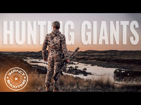 Видео: Охота на гигантов: самая большая антилопа в мире