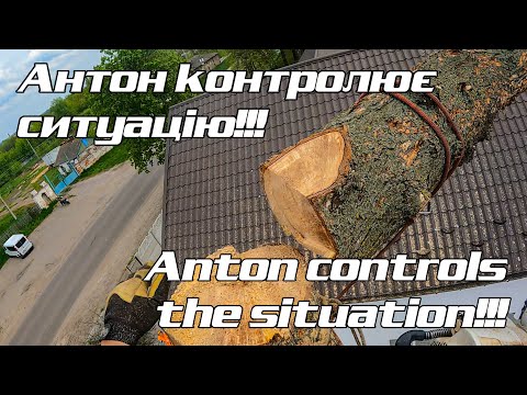 Видео: Ріжемо майже сухий в'яз We cut almost dry elm