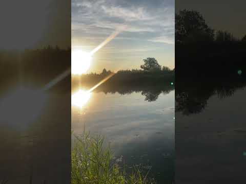 Видео: 🌅🎣#карпфишинг