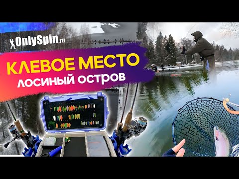 Видео: КЛЕВОЕ МЕСТО. ЛОСИНЫЙ ОСТРОВ. Ловля форели на спиннинг. Рыбалка с #OnlySpin