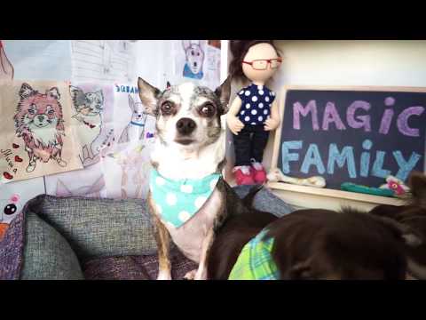 Видео: РЕАКЦИЯ ЮМИ И МИШИ НА TAG ЗНАКОМСТВО СО МНОЙ ПЕРВОЕ ВИДЕО СОФИ И ПЕРВАЯ В ЖИЗНИ РОЛЬ ЭЙВАНА