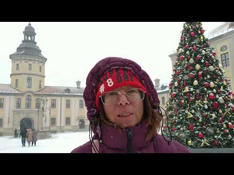 Видео: 2 Бобруйск, дв.Гатовских, Несвиж