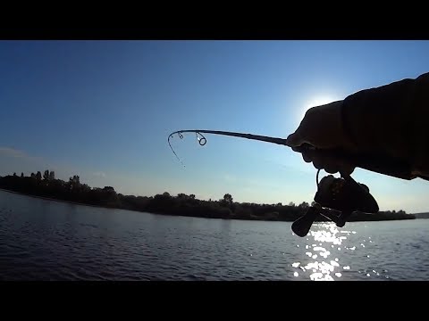 Видео: Спиннинг Akkoi Aurelia 702LF - отзыв спустя 2 года рыбалки