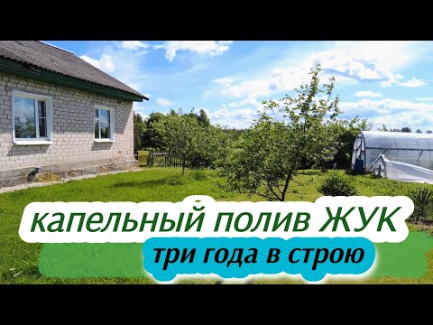 Видео: Капельный полив ЖУК // отзыв за 3 года эксплуатации