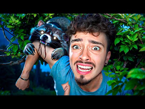 Видео: Я ВЫЖИЛ ПОСЛЕ НАПАДЕНИЯ ЕНОТА!