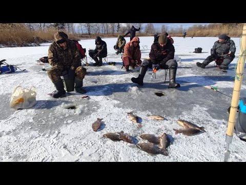 Видео: КАРАСЯКИ ПОРОСЯТА на озері, Рибалка МРІЯ / Топимо СОЛОМУ