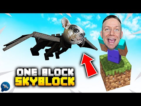 Видео: ИГРАЯ MINECRAFT, НО САМО НА ЕДИН БЛОК