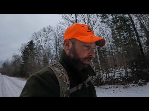 Видео: Отслеживание оленей в Нью-Гэмпшире (день 2)