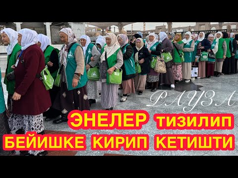 Видео: ШҮГҮР!!!  ЭНЕЛЕР да тизилип БЕЙИШКЕ кирип кетишти  ~  Умра сапары, 16-серия, 2023