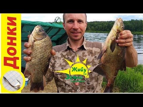 Видео: 3 дня рыбалки донками Крокодил! Строим засидку. Ловля леща и карася на пенопласт!