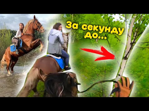Видео: VLOG Врезалась В ДЕРЕВО на Лошади! КОННАЯ ПРОГУЛКА / Перевезла ВСЮ Амуницию!