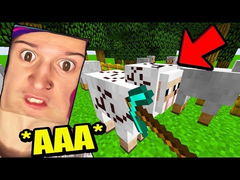 Видео: ЭТОТ *ПРОКЛЯТЫЙ* МАЙНКРАФТ *ПРОКЛЯЛ* ЧИКИБАМБОНИ!!! - ПРОКЛЯТЫЙ МАЙНКРАФТ 58 СЕРИЯ