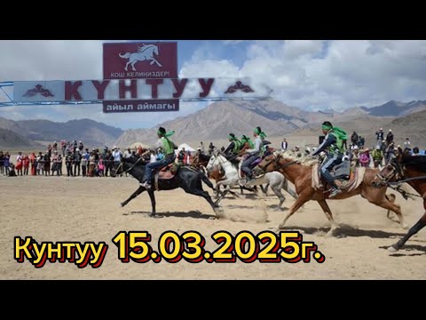 Видео: ТАЙ ЧАБЫШ/КУНАН ЧАБЫШ/АЛАМАН. СОКУЛУК. КУНТУУ. 15.03.2025