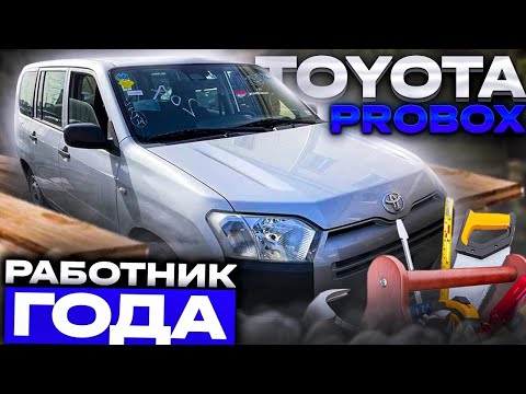 Видео: Работник года✅ | Обзор Toyota Probox NSP160⚒️