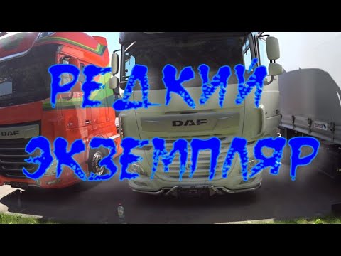 Видео: Редкий экземпляр