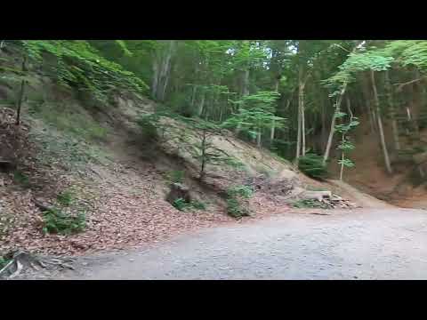 Видео: Витоша 100 - оглед на трасето 2024