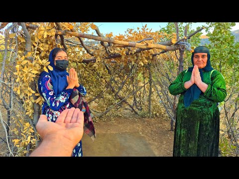 Видео: Невероятный приют после 4 лет бездомности