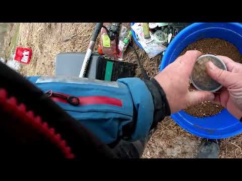 Видео: Вимба есть, она не может не есть..., но не всегда мы её можем взять, отчёт Но 224