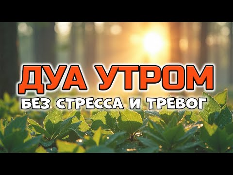 Видео: СПОКОЙСТВИЕ С ПЕРВОЙ МИНУТЫ! ☕ УТРЕННЕЕ ДУА ОТ СТРЕССА И ТРЕВОГИ 🤲✨