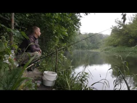 Видео: Рыбалка на УТРЕННЕЙ ЗОРЬКЕ в июне на реке, на донку,макушатник,фидер.