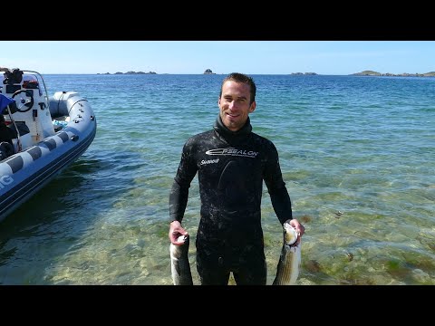 Видео: Подводная охота и кемпинг на островах Силли — Часть 2
