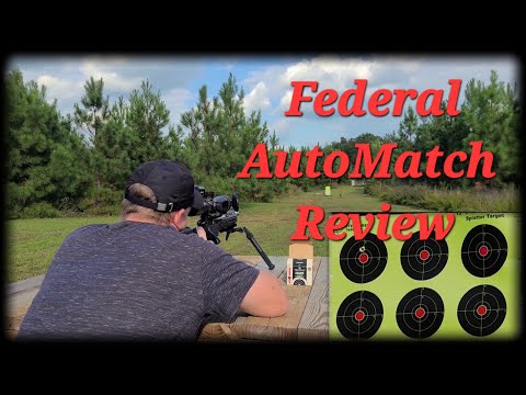 Видео: Обзор Federal AutoMatch Target 22LR — хорошо или плохо?
