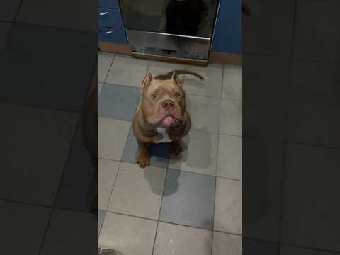Видео: Учеба