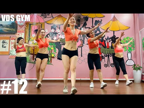 Видео: Аэробное ускоренное похудение в домашних условиях - день 12