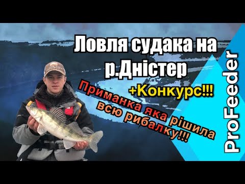 Видео: Ловля судака весною на р.Дністер!+КОНКУРС! Приманка яка рішила всю рибалку!