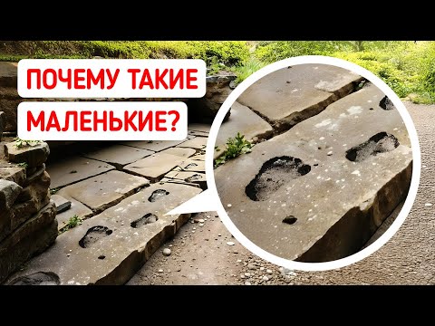 Видео: Ученые обнаружили следы, которые раскрывают новое прошлое