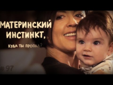 Видео: Материнский инстинкт: куда ты пропал? // Всё как у зверей #97