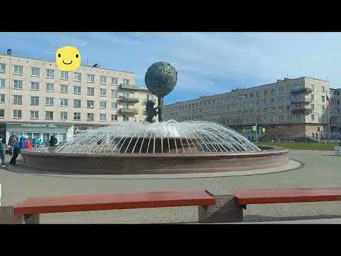 Видео: Питер Ломоносов  Почему дешевле