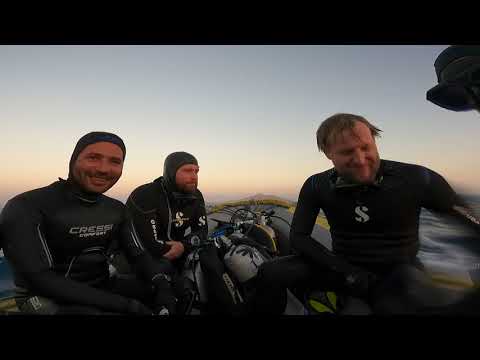 Видео: Дайвинг Египет / Октябрь 2021 / Дайв-сафари / Северный маршрут / Wrecks and Reefs / Diving