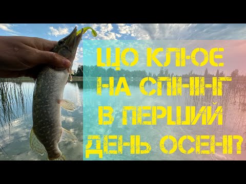 Видео: ЩУКА з першого закиду. Одна приманка ловить на кожному закиді. Ловля ГОЛОВНЯ.