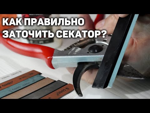 Видео: Как правильно заточить секатор? ✂️