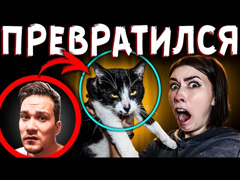 Видео: Говорящий ТОМ в Реальной жизни МОЙ ПАРЕНЬ ВЫПИЛ ЗЕЛЬЕ и СТАЛ КОТОМ Мистика