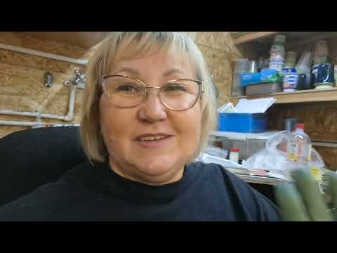 Видео: 26 марта . Рассада на продажу.  Советы начинающим