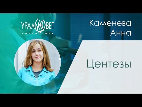 Видео: Центезы. Каменева Анна #убвк_терапия
