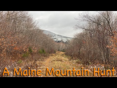 Видео: Охота в горах Мэна